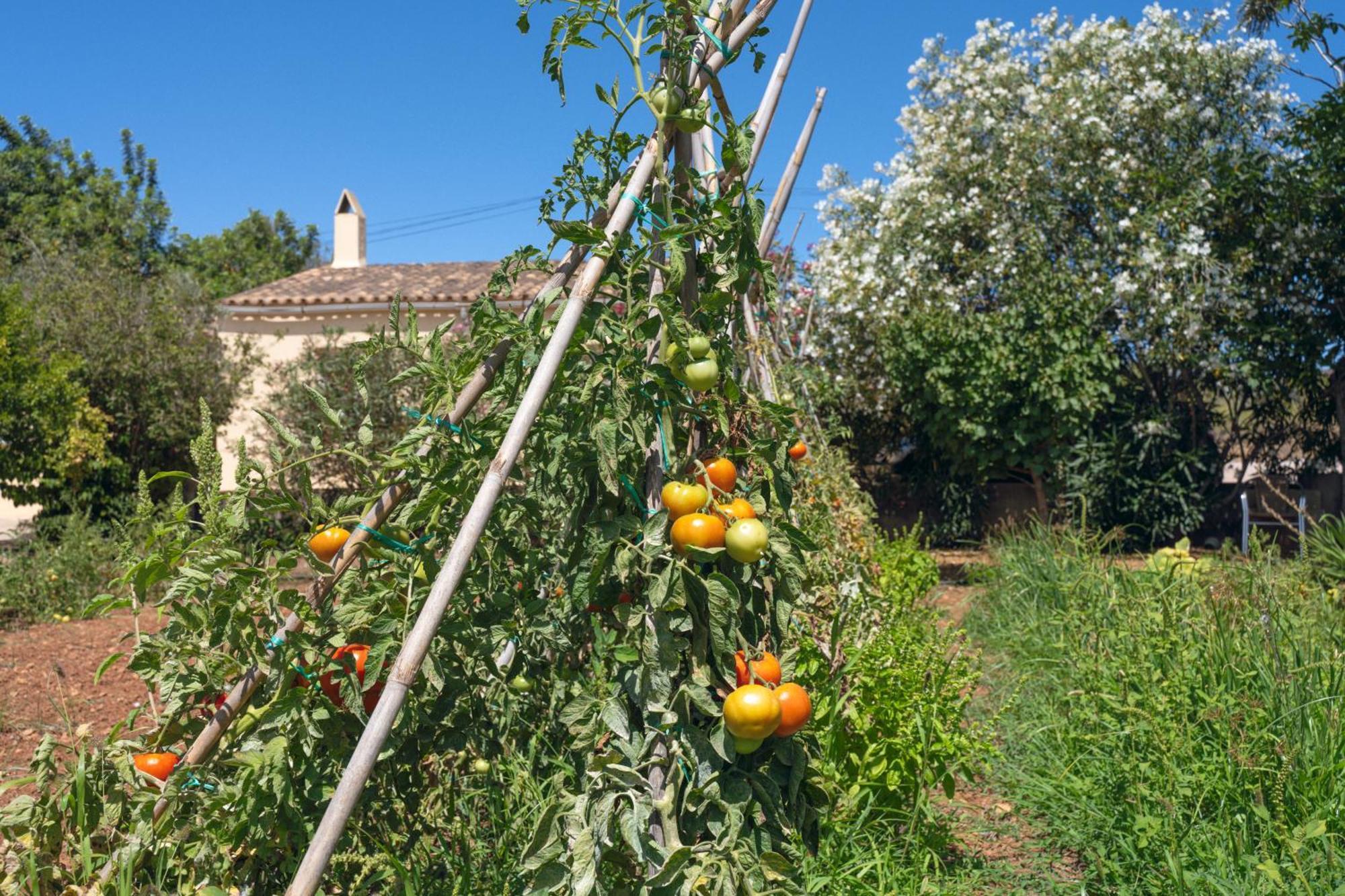 Finca Es Baladre Capdepera  Bagian luar foto
